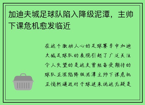 加迪夫城足球队陷入降级泥潭，主帅下课危机愈发临近