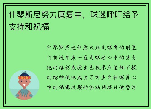 什琴斯尼努力康复中，球迷呼吁给予支持和祝福